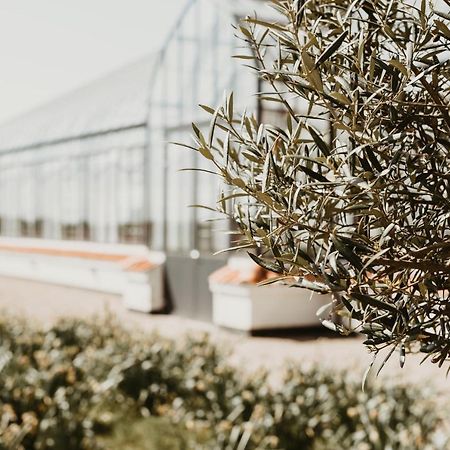Vejro Resort المظهر الخارجي الصورة